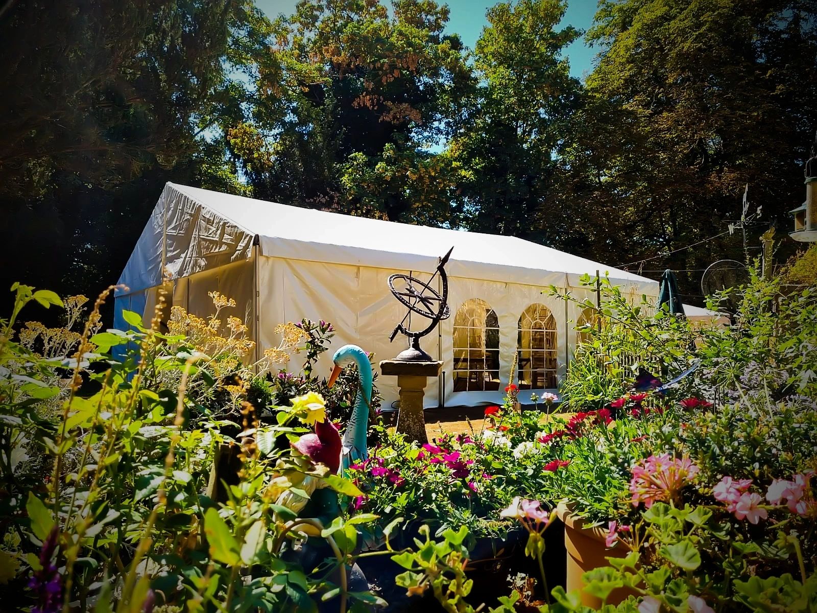 White marquee exterior set in a lush garden with flowering plants